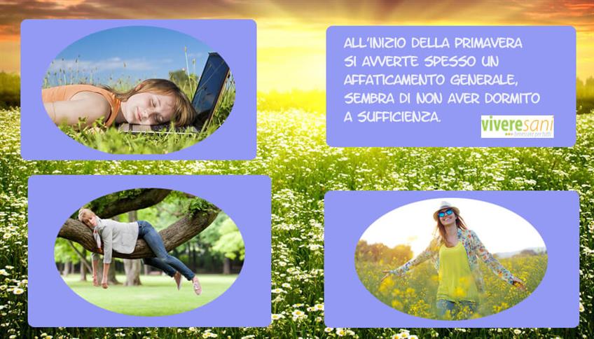 Fra poco arriva la primavera! Fra poco arriva la primavera!